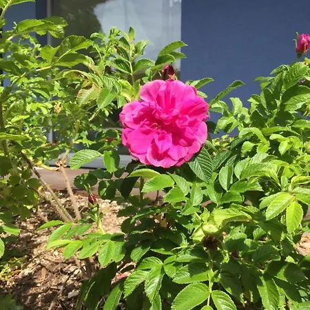 Hébergement de vacances Haus Frieda