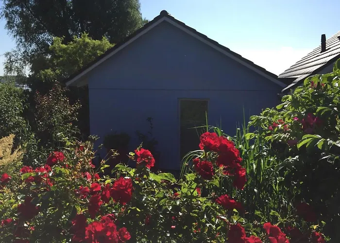 Haus Frieda Ferienhaus Breege